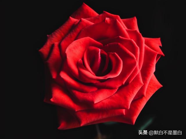 霸气的表白句子,里面有我爱你 霸气的表白句子,里面有我爱你