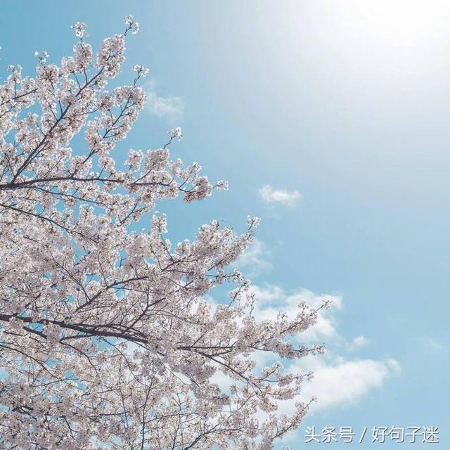 表白的句子唯美超短句 表白的句子唯美超短句