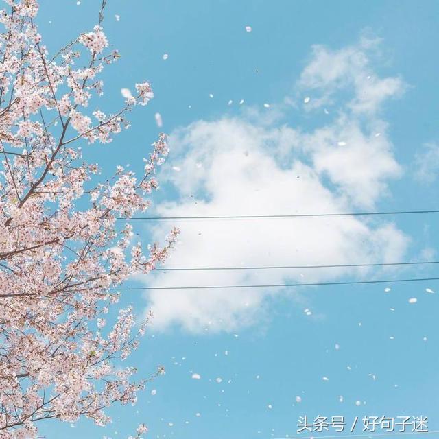 表白的句子唯美超短句 表白的句子唯美超短句