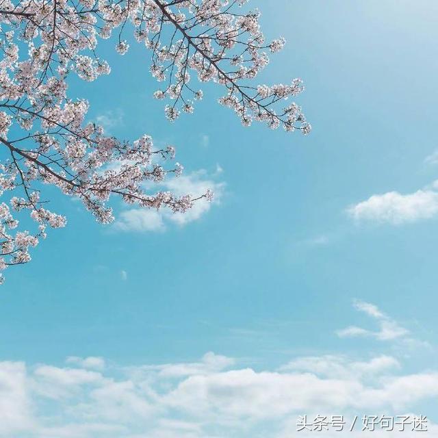表白的句子唯美超短句 表白的句子唯美超短句