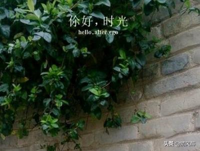 女生霸气表白句子简短 女生霸气表白句子简短