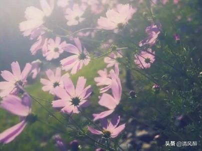 女生霸气表白句子简短 女生霸气表白句子简短