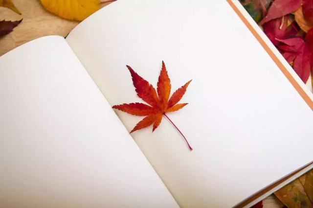 古诗隐藏很深的表白句子 古诗隐藏很深的表白句子