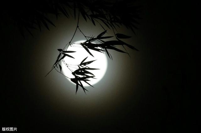 暗恋隐藏表白的句子 暗恋隐藏表白的句子