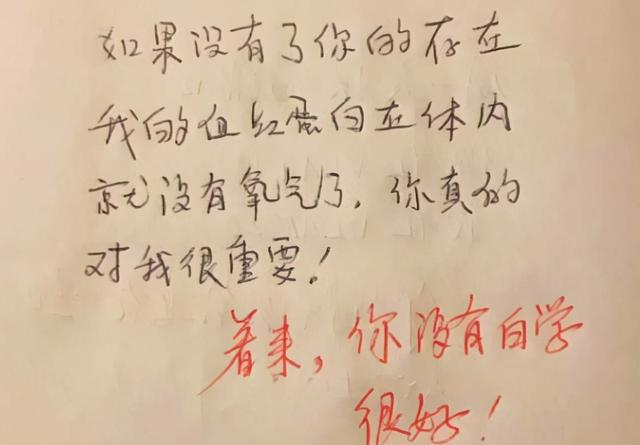 向学姐表白的优美句子 向学姐表白的优美句子