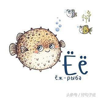 逗比搞笑的表白句子 逗比搞笑的表白句子