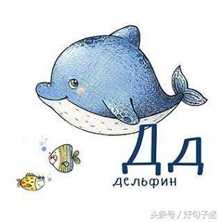 逗比搞笑的表白句子 逗比搞笑的表白句子