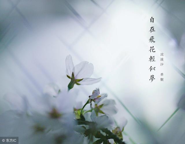 感人肺腑的表白句子 感人肺腑的表白句子
