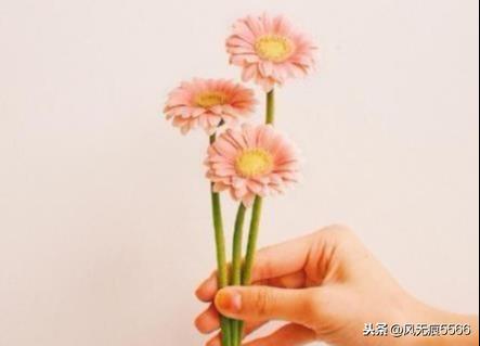 抖音情侣表白经典句子 抖音情侣表白经典句子