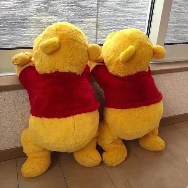 和女生正式表白句子 和女生正式表白句子