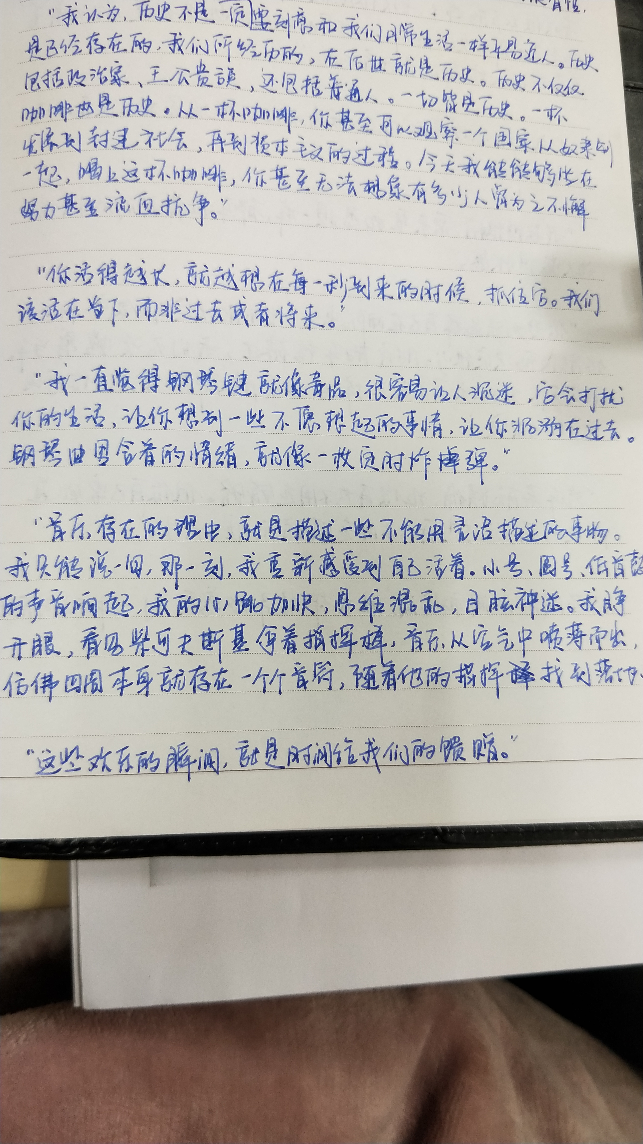 优美句子段落摘抄app_(冷门小众文艺app)
