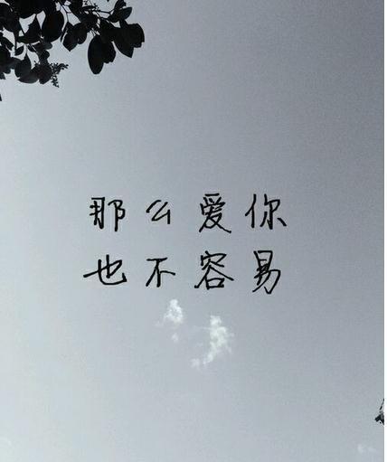 对老婆失望看透的句子说说心情【对婚姻失望心酸的语句】