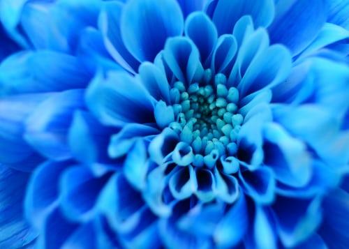 霸气的表白句子英文