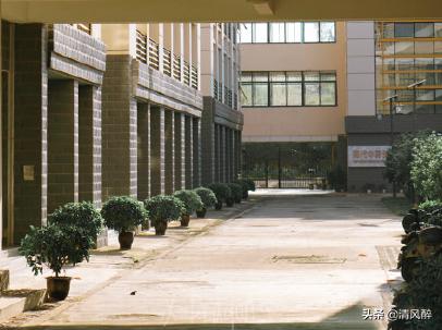 失望的句子简短说说 失望的句子简短说说