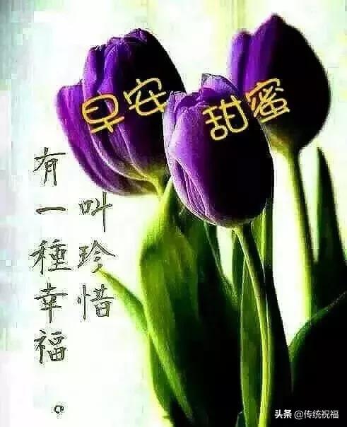 微信早上好很甜很撩的暖心问候祝福语句子,清晨问候朋友的话