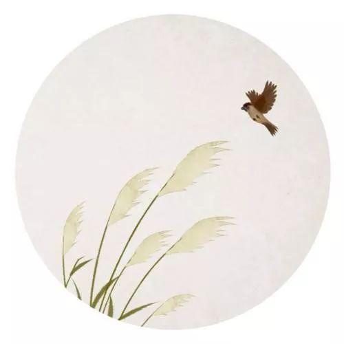 我能想到最动人的情话,都在《诗经》里