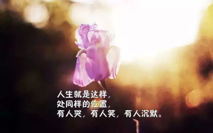 感悟人生哲理句子8个字_(8个字的人生感悟)