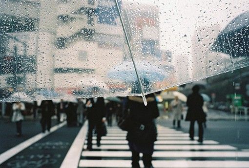 下雨天表白的句子(雨中的表白)