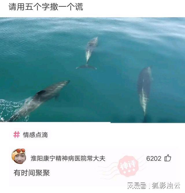 倒过来读的句子表白(顺着读骂人倒着读情话)