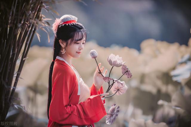 古句表白女生的句子 古句表白女生的句子