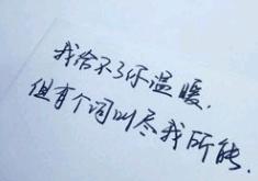 表白的浪漫句子(情话最暖心短句给女生)