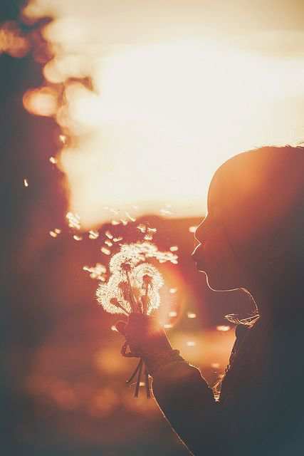 承诺失望句子说说心情_(感到心寒失望的句子)