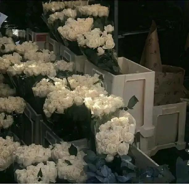 失望句子长段 失望句子长段