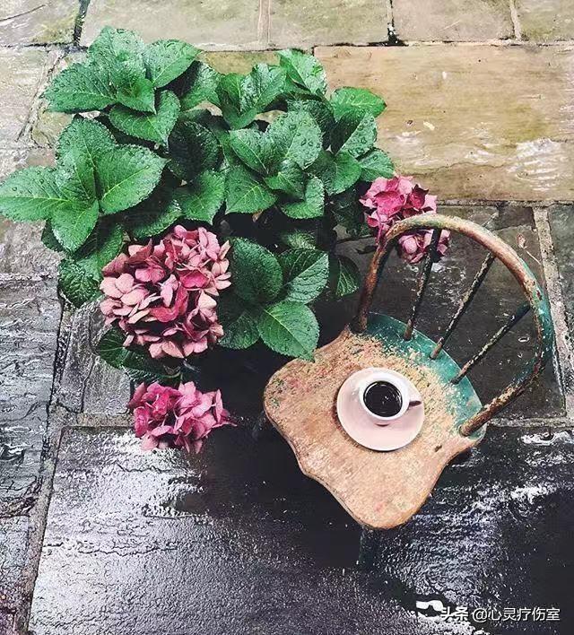 适合表白闺蜜的句子