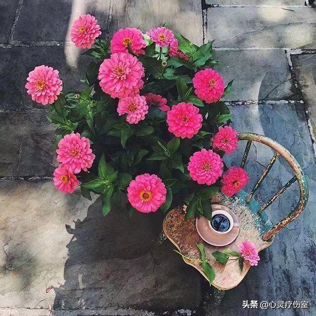 适合表白闺蜜的句子