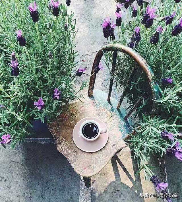 适合表白闺蜜的句子