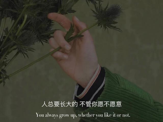 失望句子背景图