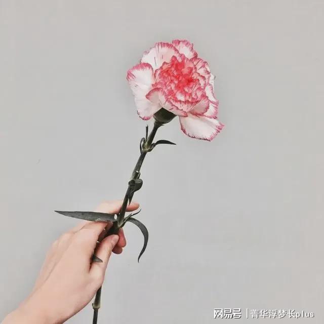 表白偶像的唯美句子(写给爱豆的暖心文字)