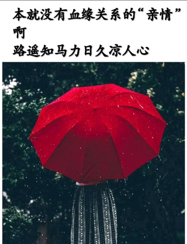 暗示对领导失望的句子