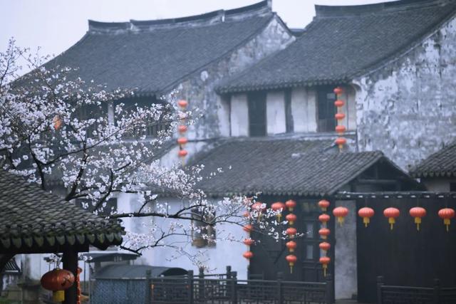 关于花的唯美句子8个字的 关于花的唯美句子8个字的