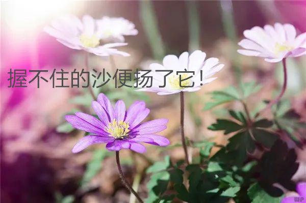 适合发朋友圈的句子表达心情好的_(发朋友圈吸引人句子)