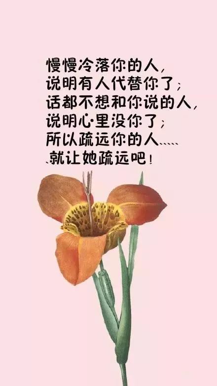 中午发朋友圈句子简单_(简单的一句话发朋友圈)