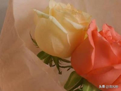 风景的句子唯美短句干净 风景的句子唯美短句干净