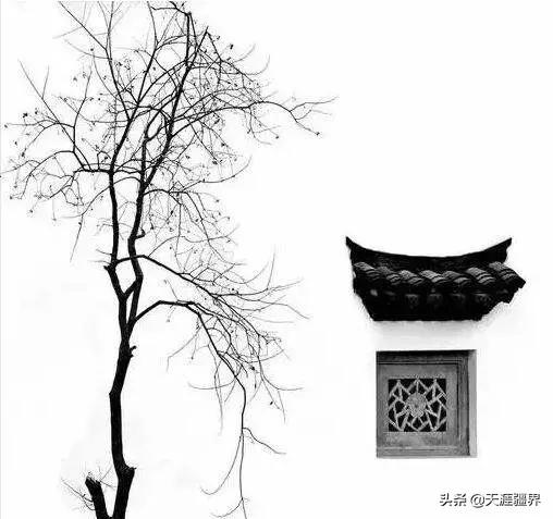 关于黑白的唯美句子大全 关于黑白的唯美句子大全