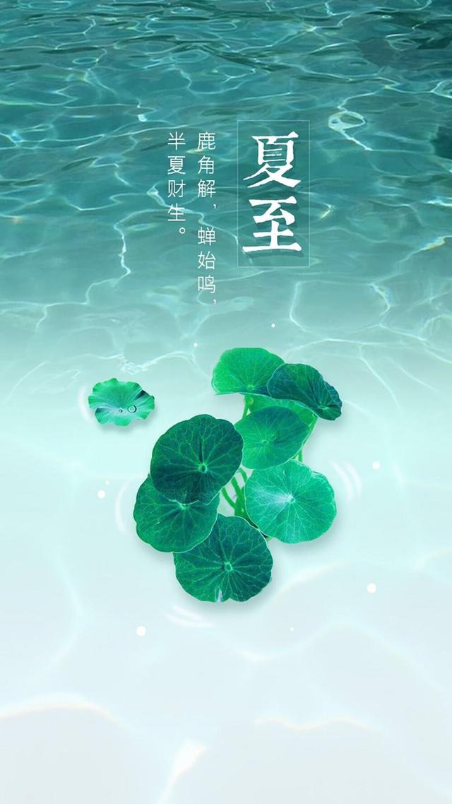 夏至安静唯美有哲理的句子 夏至安静唯美有哲理的句子