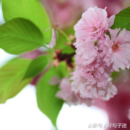 朋友圈唯美走心的短句子 朋友圈唯美走心的短句子
