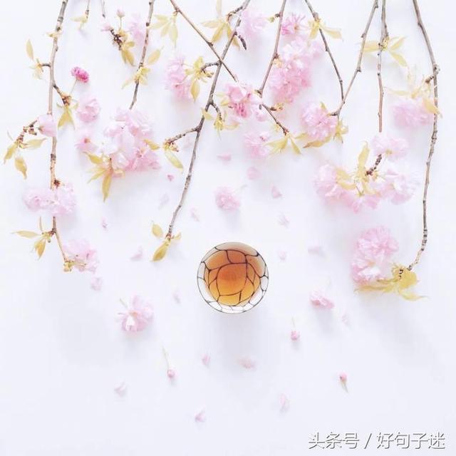 带有句子的唯美图片 带有句子的唯美图片