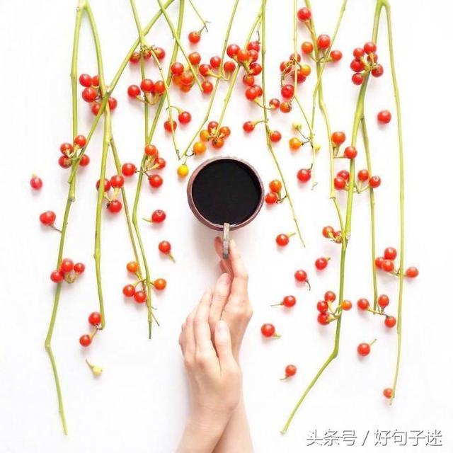 带有句子的唯美图片 带有句子的唯美图片