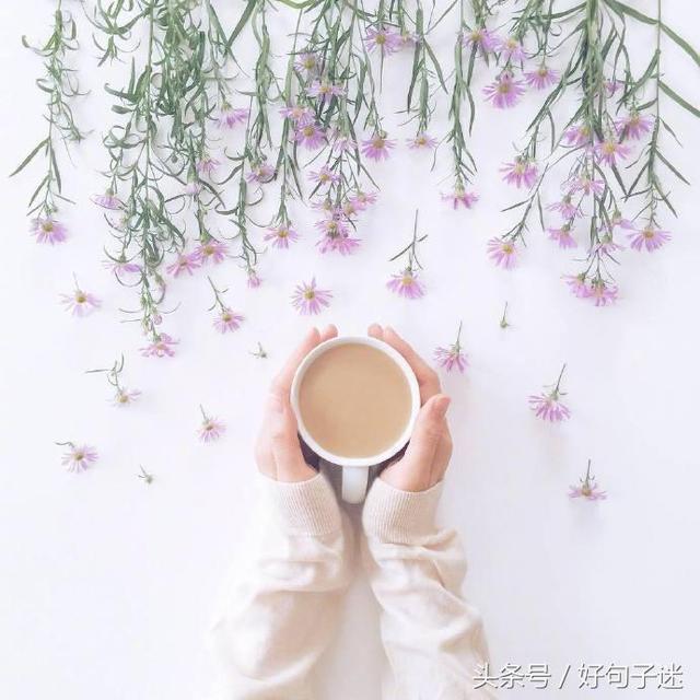 带有句子的唯美图片 带有句子的唯美图片