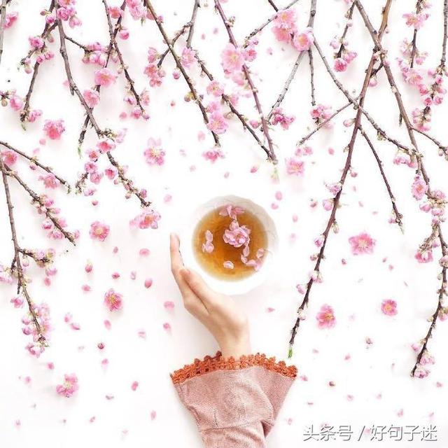 带有句子的唯美图片 带有句子的唯美图片