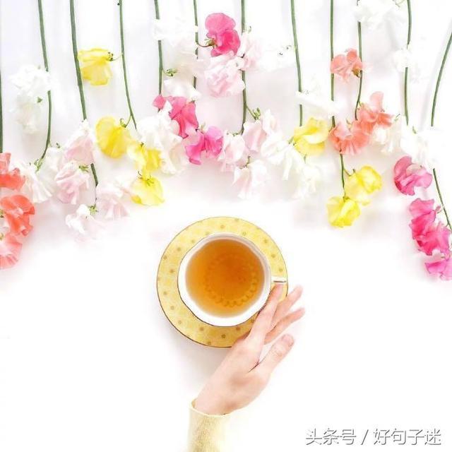 带有句子的唯美图片 带有句子的唯美图片