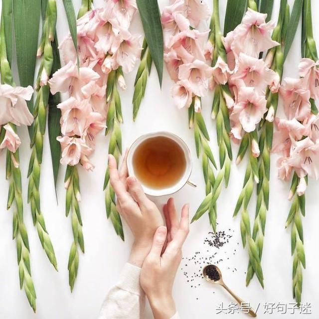 带有句子的唯美图片 带有句子的唯美图片