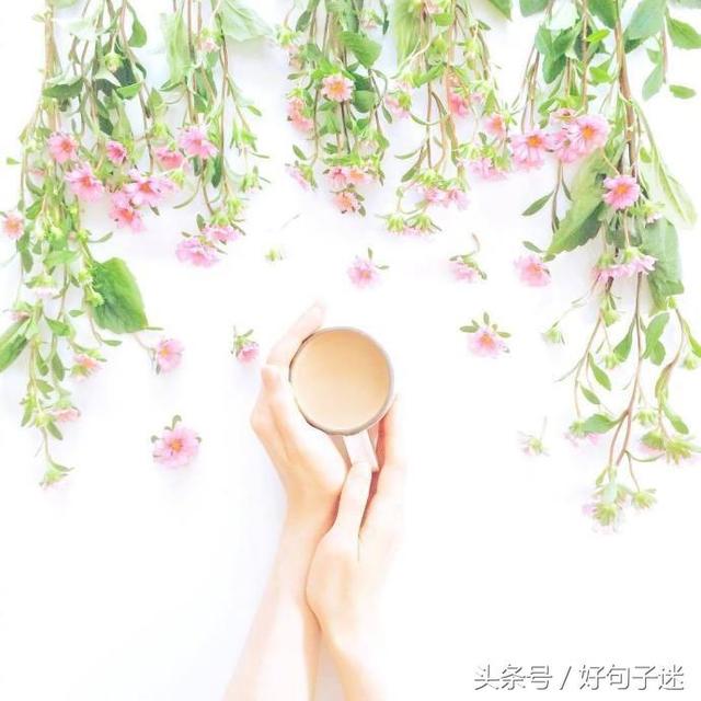 带有句子的唯美图片 带有句子的唯美图片
