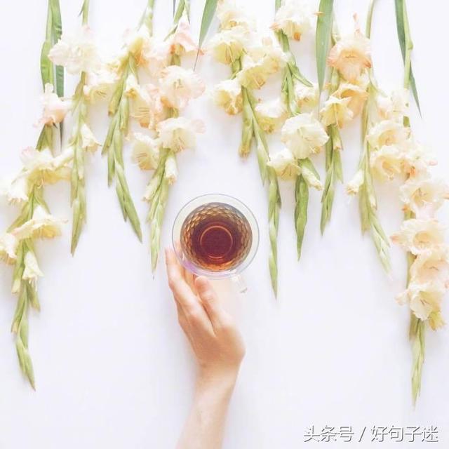 带有句子的唯美图片 带有句子的唯美图片