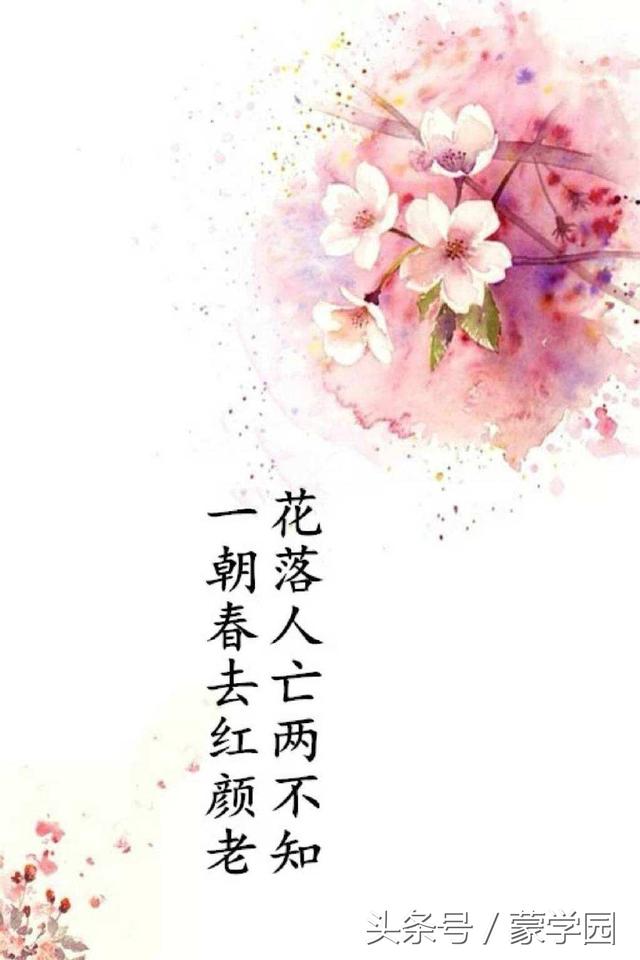 唯美到心碎的古风句子五字 唯美到心碎的古风句子五字