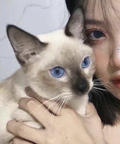 友情的句子唯美简短图片大全 友情的句子唯美简短图片大全